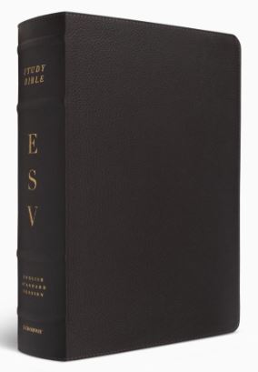 ESV Study Bible, Large Print