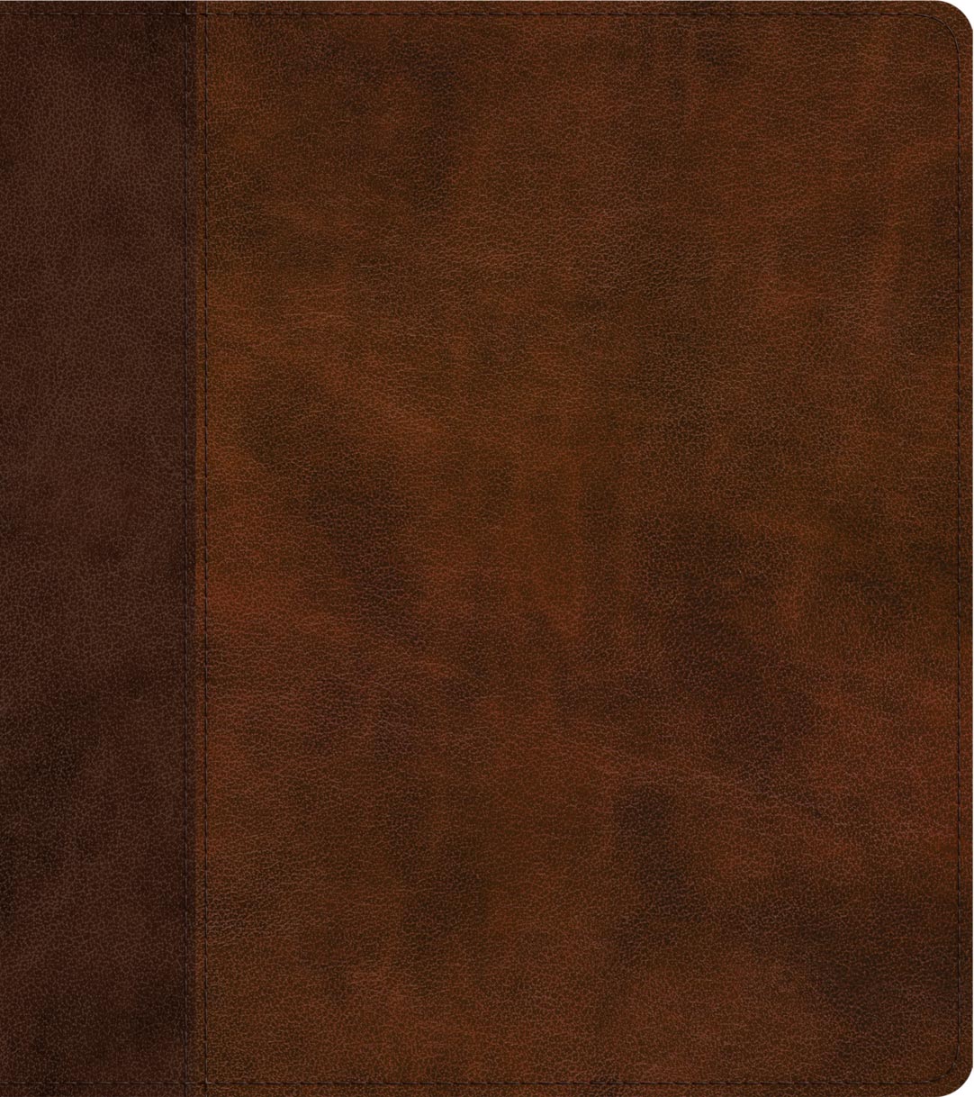 ESV Journaling Study Bible (TruTone, Brown/Chestnut, Timeless Design)