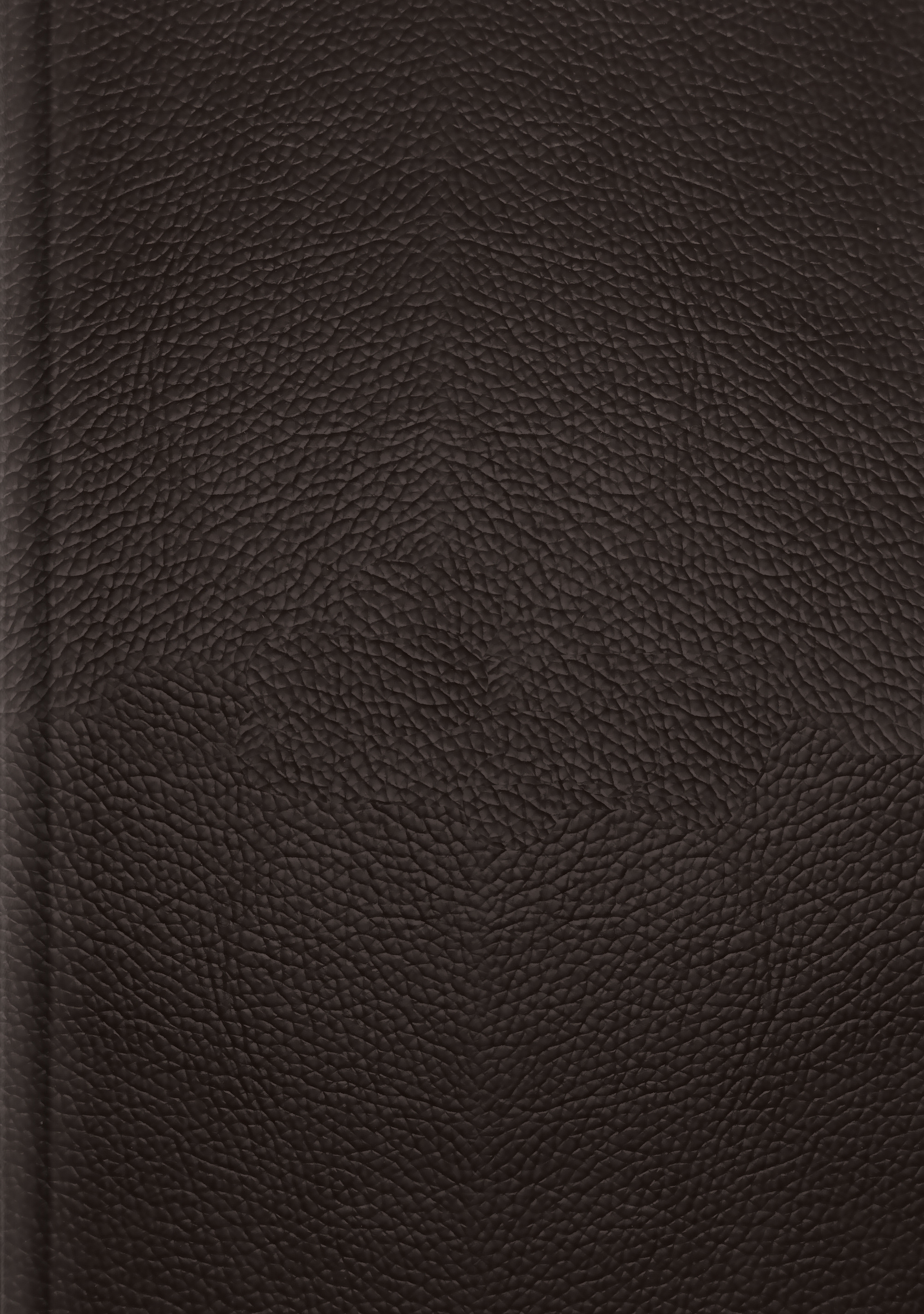 ESV Single Column Journaling Bible, Large Print