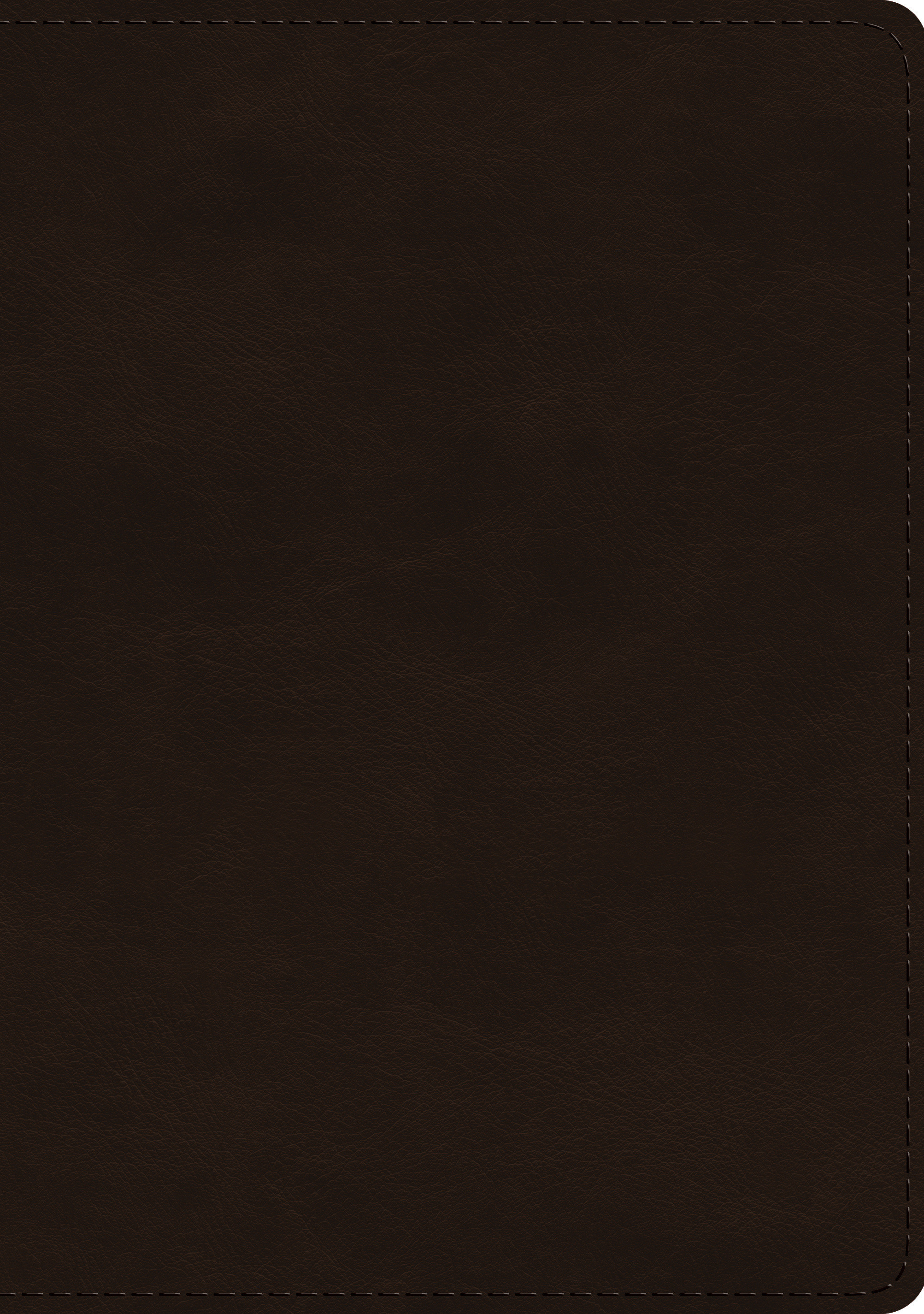 ESV Single Column Journaling Bible, Large Print