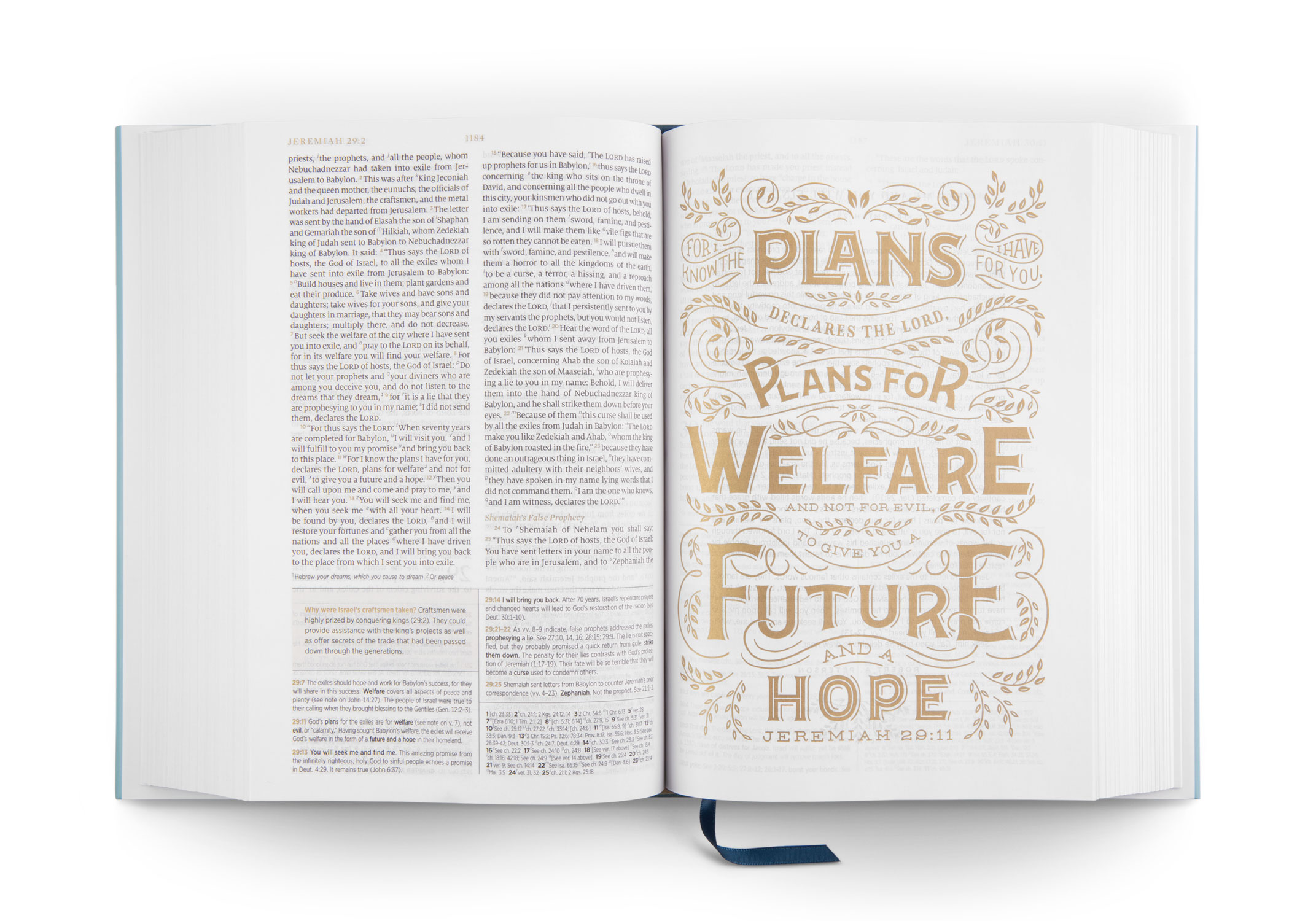 ESV Women's Study Bible