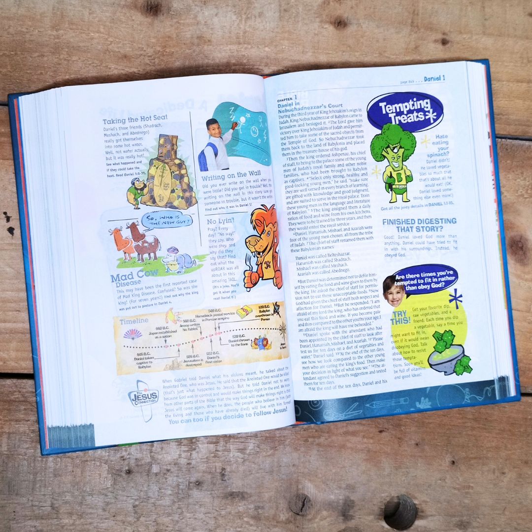 NLT Hands-On Bible (Revised)