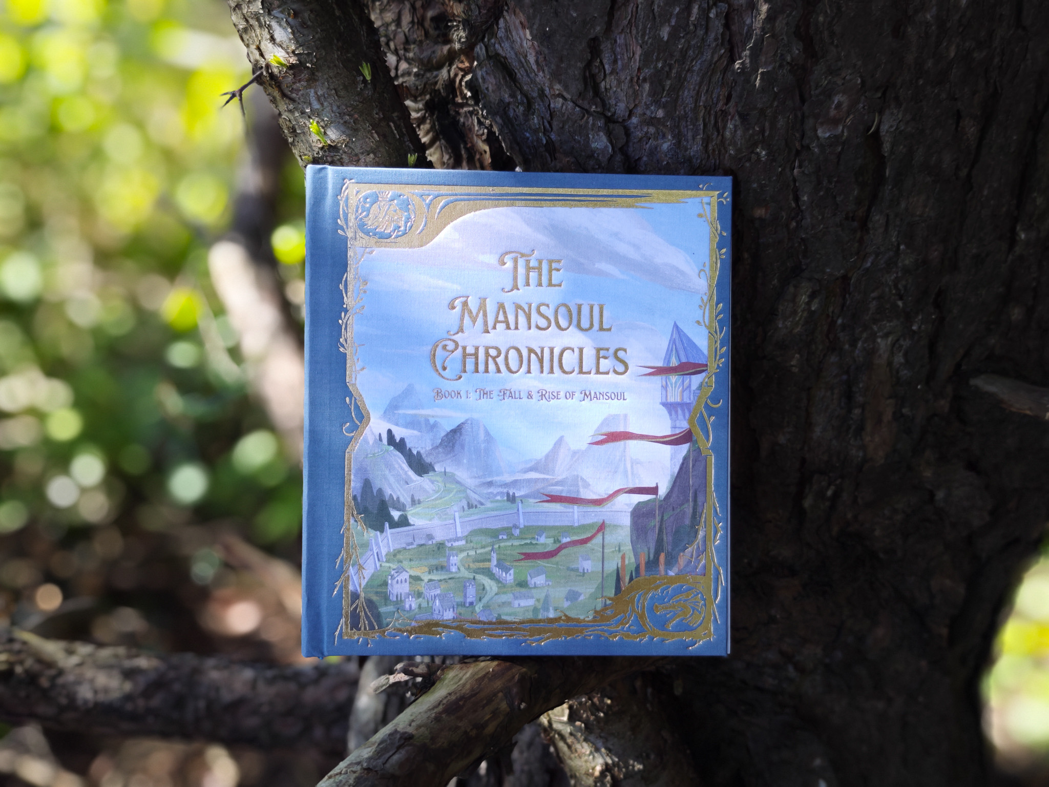 The Mansoul Chronicles: Book 1