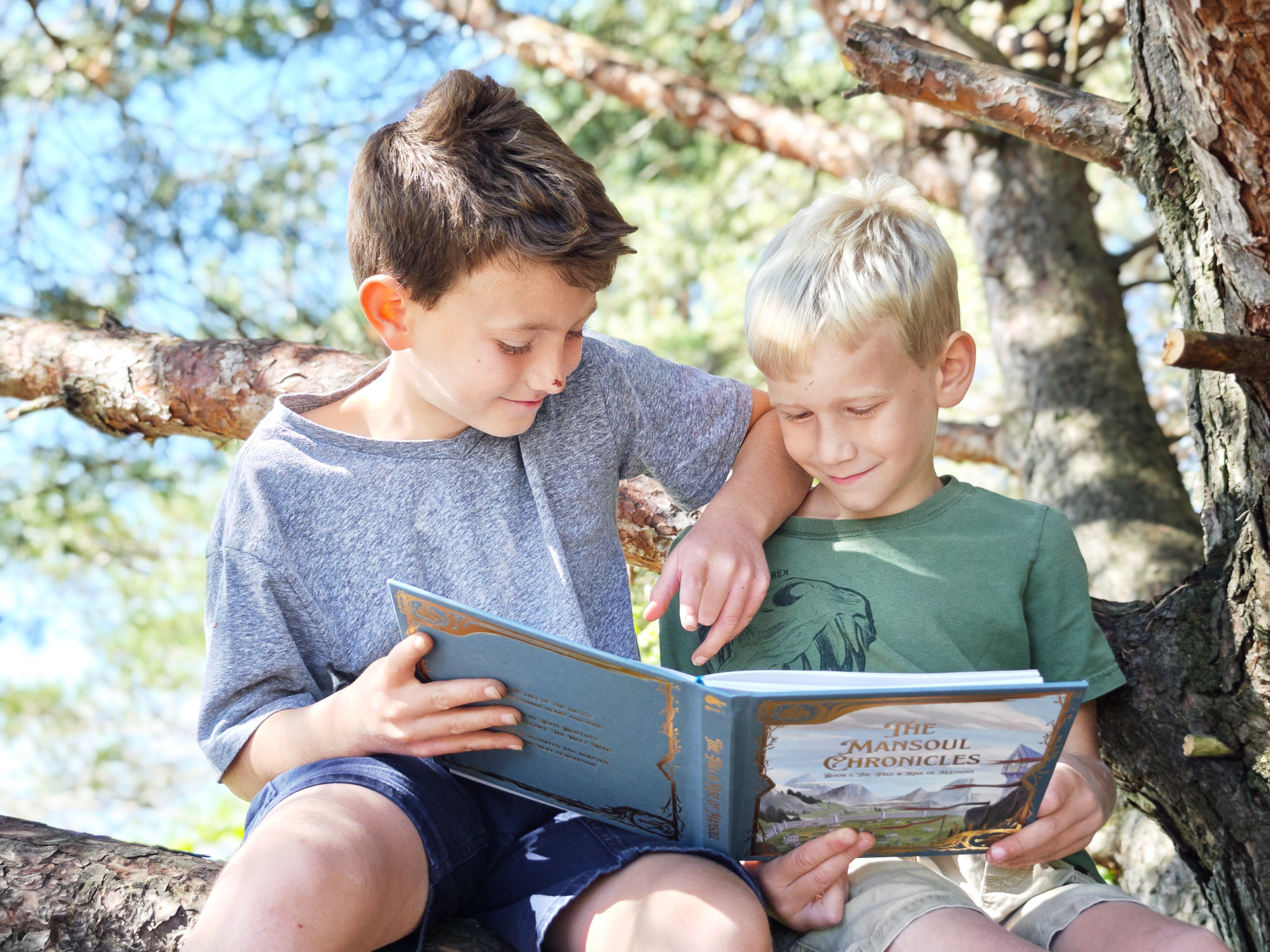 The Mansoul Chronicles: Book 1