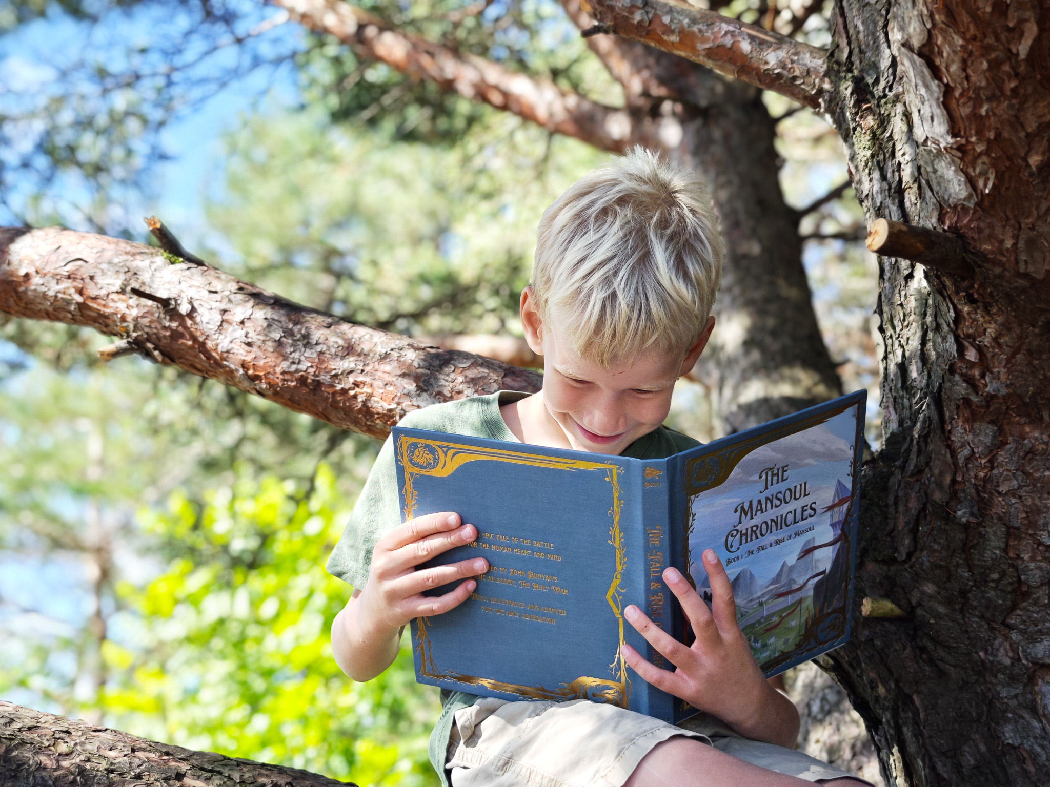 The Mansoul Chronicles: Book 1