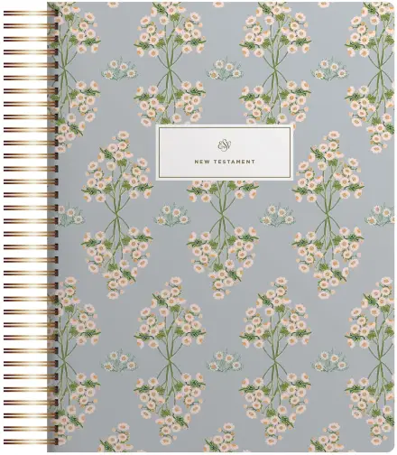 ESV Spiral-Bound Journaling Bible, New Testament