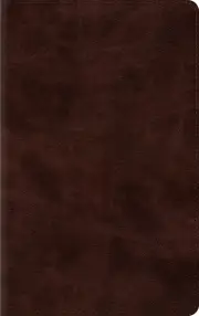 ESV Thinline Bible (TruTone, Espresso)