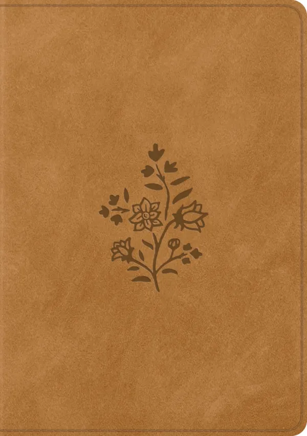 ESV Single Column Journaling Bible, Large Print