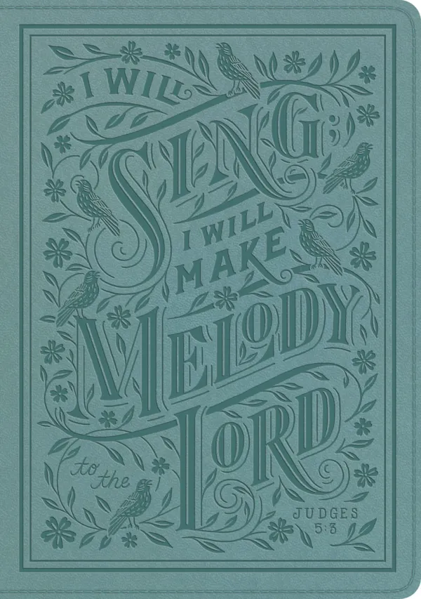 ESV Single Column Journaling Bible, Large Print