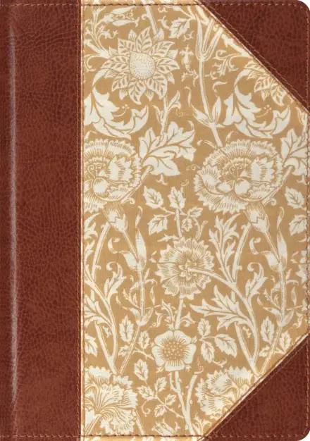 ESV Single Column Journaling Bible, Large Print