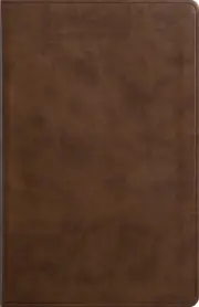 ESV Premium Gift Bible, TruTone, Brown
