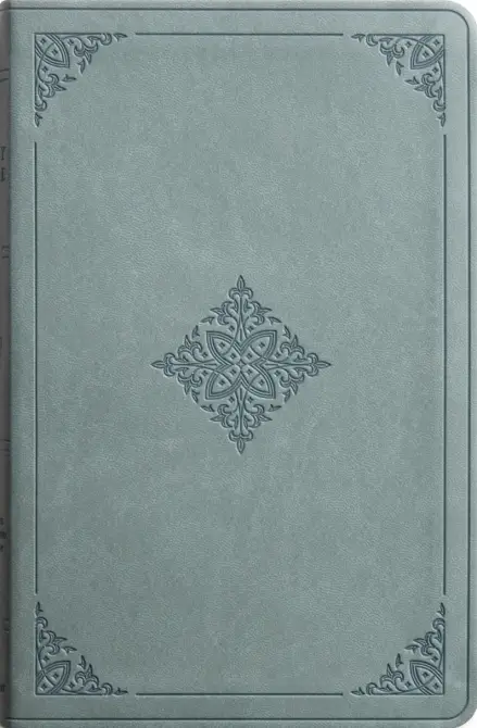 ESV Value Thinline Bible, TruTone, Paris Sky, Fleur-de-lis Design
