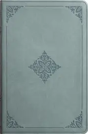ESV Value Thinline Bible, TruTone, Paris Sky, Fleur-de-lis Design