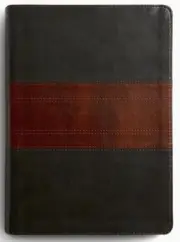 ESV Study Bible, Large Print