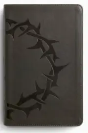 ESV Thinline Bible
