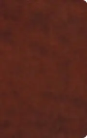 ESV Large Print Value Thinline Bible