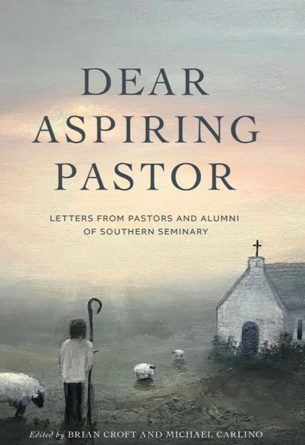 Dear Aspiring Pastor