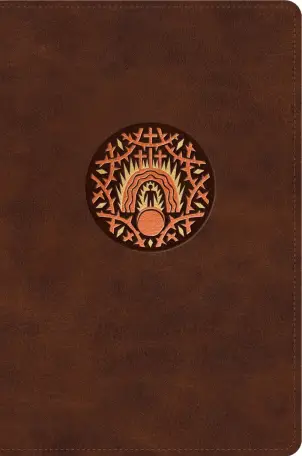 ESV The Biggest Story Holy Bible for Kids