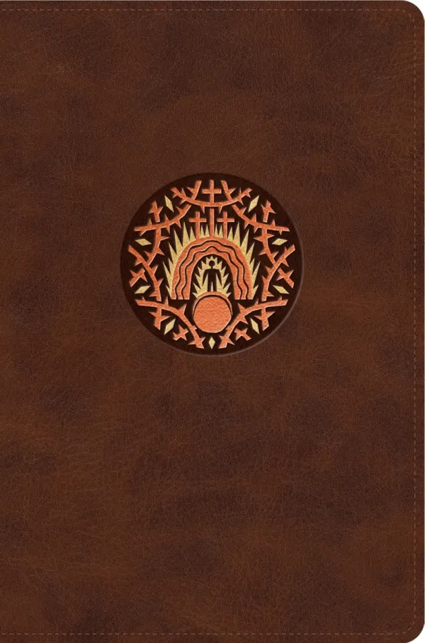 ESV The Biggest Story Holy Bible for Kids