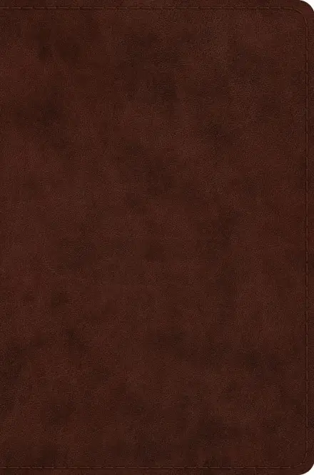 ESV Compact Bible, Red Letter Editon (TruTone, Brown)
