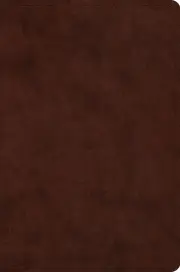 ESV Compact Bible, Red Letter Editon (TruTone, Brown)