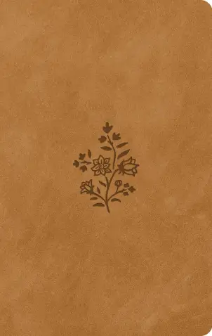 product.name
