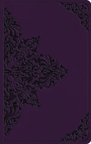 product.name