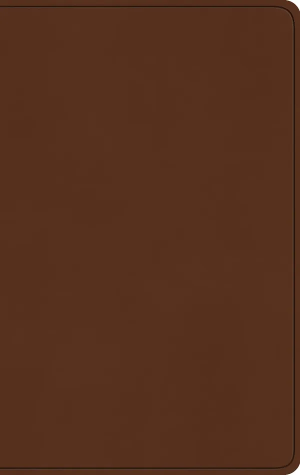 ESV Large Print Value Thinline Bible (TruTone, Camel)