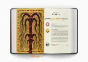 ESV The Biggest Story Holy Bible for Kids