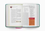 ESV The Biggest Story Holy Bible for Kids