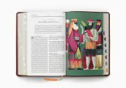 ESV The Biggest Story Holy Bible for Kids