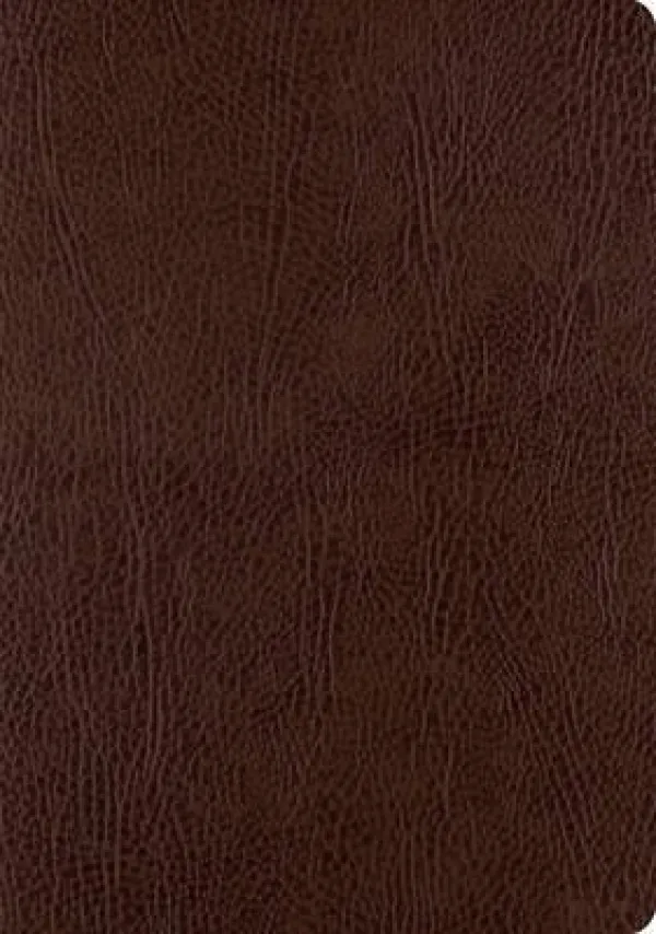 ESV Single Column Journaling Bible, Large Print