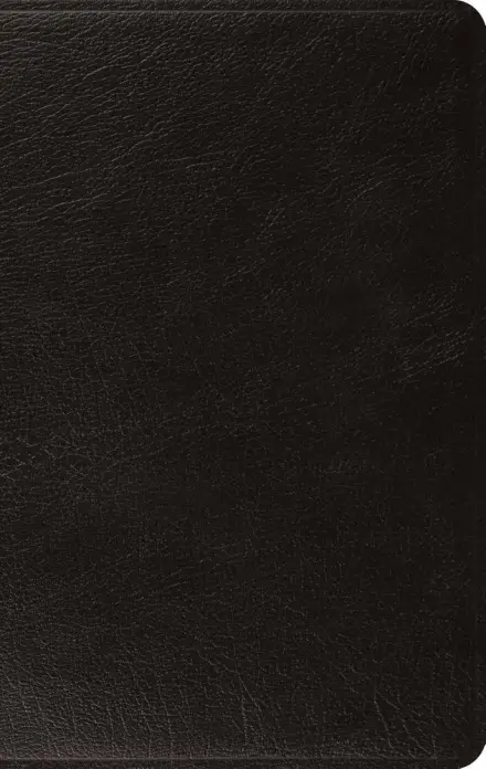 ESV Large Print Thinline Bible (Genuine Leather, Black)