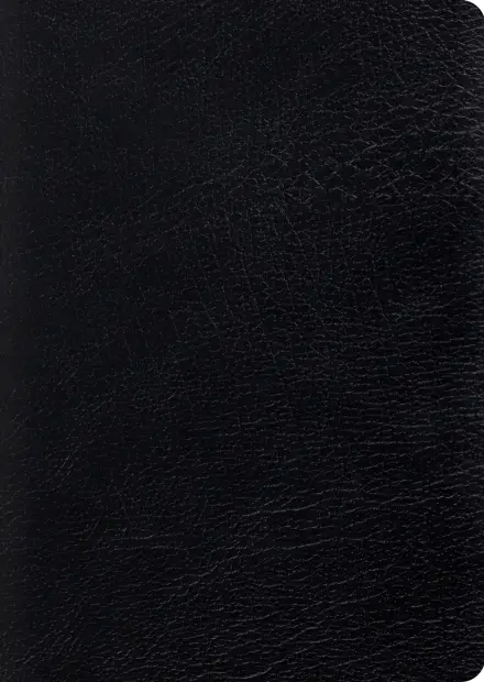 ESV Study Bible (Large Print, Genuine Leather, Black)