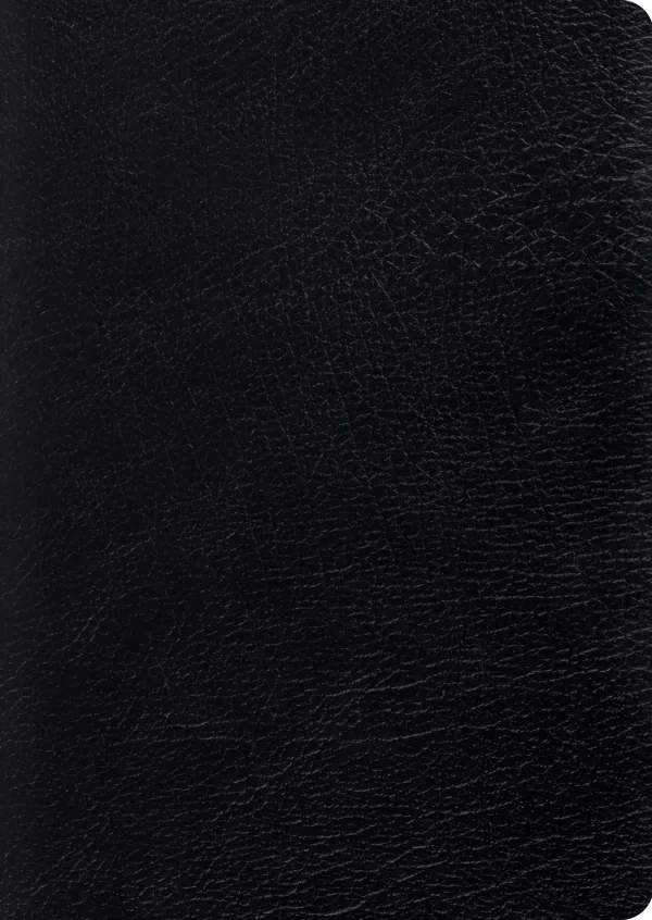 ESV Study Bible (Large Print, Genuine Leather, Black)