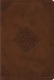 ESV Study Bible, Personal Size (TruTone, Saddle, Ornament Design)