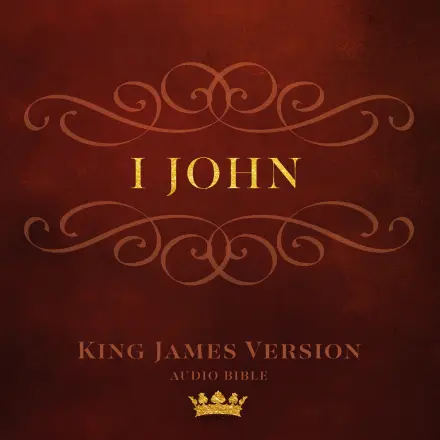 Book of I John (KJV)