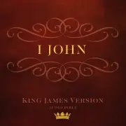 Book of I John (KJV)