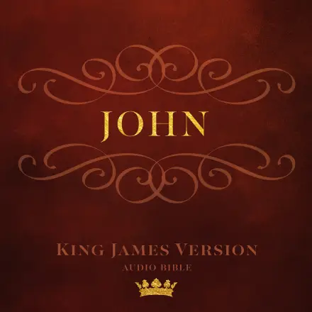 Book of John (KJV)