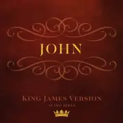 Book of John (KJV)