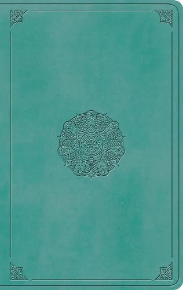 ESV Large Print Value Thinline Bible (TruTone Turquoise)