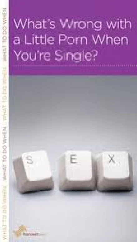 What’s Wrong with a Little Porn When You’re Single?
