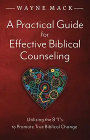 Practical Guide for Effective Biblical Counseling
