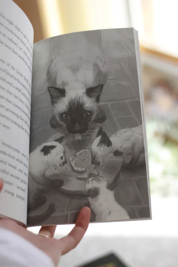 The Siamese Kittens Bundle