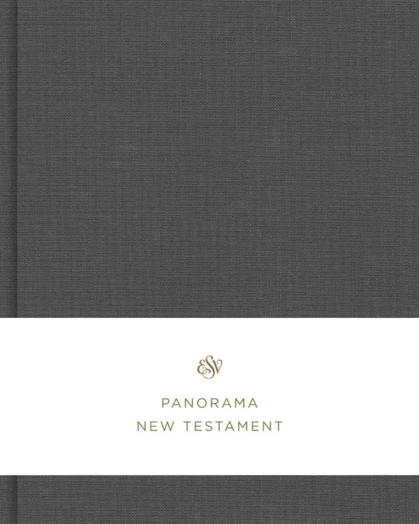 ESV Panorama New Testament