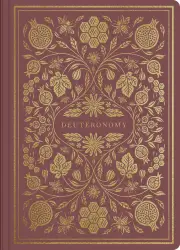 ESV Illuminated Scripture Journal: Deuteronomy