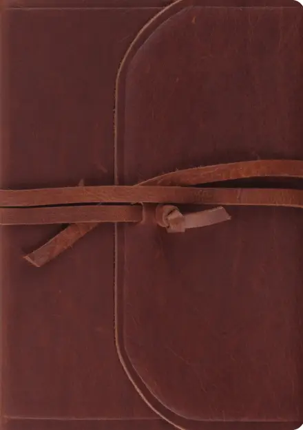 ESV Journaling Bible, Interleaved Edition