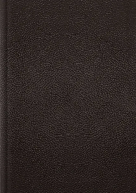 ESV Single Column Journaling Bible, Large Print