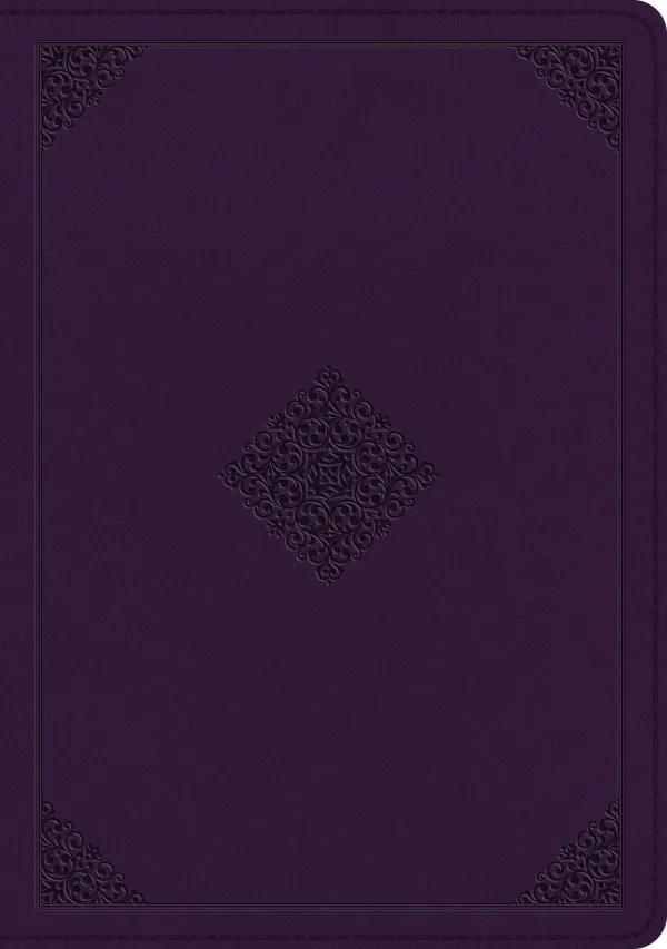 ESV Single Column Journaling Bible, Large Print