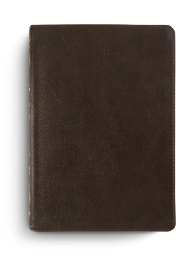 ESV Women's Study Bible